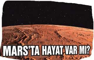 muhasebe bilgi